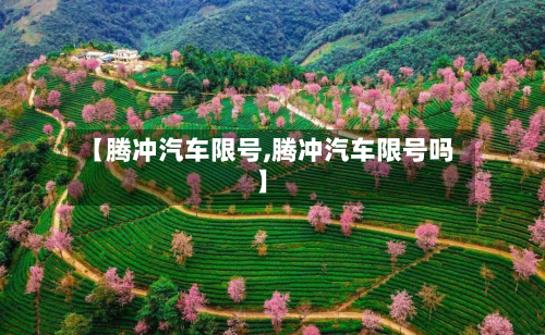 【腾冲汽车限号,腾冲汽车限号吗】-第2张图片