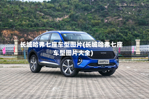 长城哈弗七座车型图片(长城哈弗七座车型图片大全)