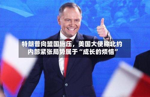 特朗普向盟国施压	，美国大使称北约内部紧张局势属于“成长的烦恼	”-第1张图片