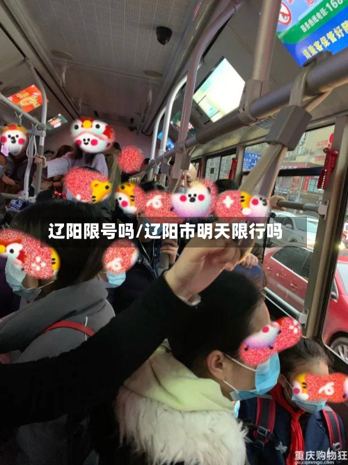 辽阳限号吗/辽阳市明天限行吗-第3张图片