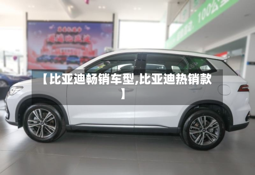 【比亚迪畅销车型,比亚迪热销款】