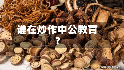 谁在炒作中公教育?