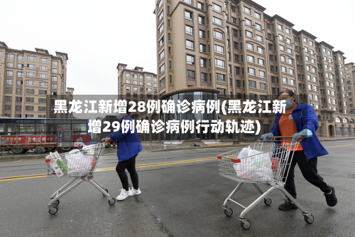黑龙江新增28例确诊病例(黑龙江新增29例确诊病例行动轨迹)-第2张图片