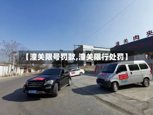 【潼关限号罚款,潼关限行处罚】-第2张图片