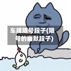 车牌限号段子(限号的幽默段子)