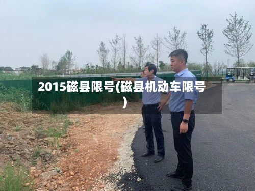 2015磁县限号(磁县机动车限号)-第2张图片