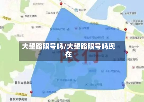 大望路限号吗/大望路限号吗现在-第3张图片