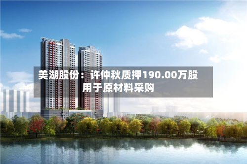 美湖股份：许仲秋质押190.00万股用于原材料采购