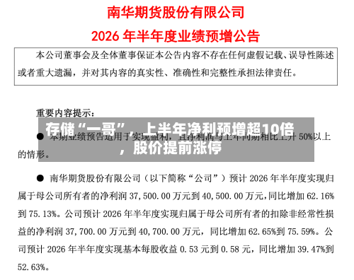 存储“一哥	”，上半年净利预增超10倍	，股价提前涨停-第2张图片