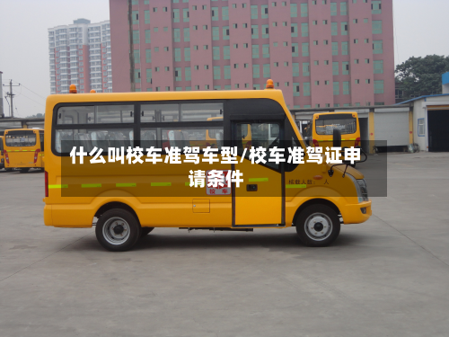 什么叫校车准驾车型/校车准驾证申请条件-第3张图片