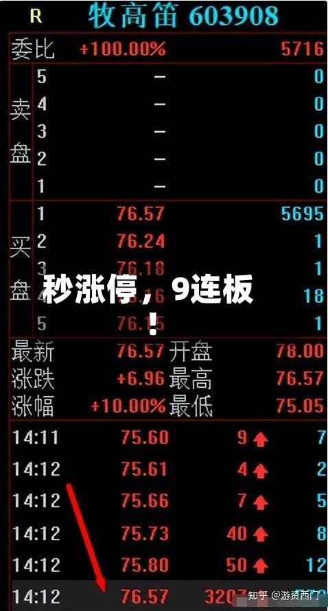 秒涨停，9连板！-第2张图片