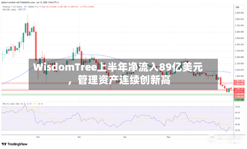 WisdomTree上半年净流入89亿美元，管理资产连续创新高-第3张图片