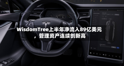 WisdomTree上半年净流入89亿美元	，管理资产连续创新高-第2张图片