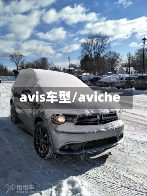 avis车型/aviche