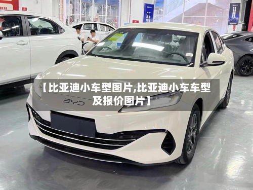 【比亚迪小车型图片,比亚迪小车车型及报价图片】-第2张图片