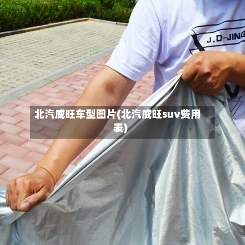 北汽威旺车型图片(北汽威旺suv费用表)