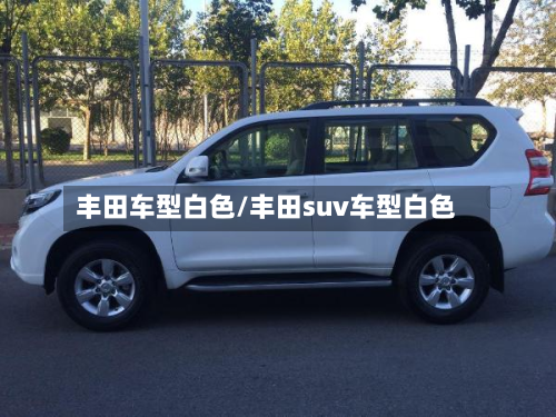 丰田车型白色/丰田suv车型白色