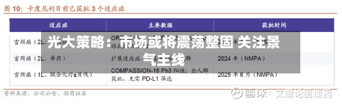 光大策略：市场或将震荡整固 关注景气主线