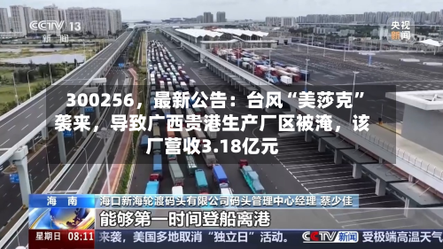 300256,最新公告:台风“美莎克”袭来,导致广西贵港生产厂区被淹,该厂营收3.18亿元