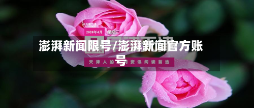 澎湃新闻限号/澎湃新闻官方账号