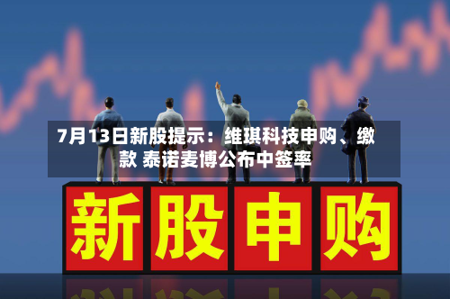 7月13日新股提示：维琪科技申购	、缴款 泰诺麦博公布中签率-第2张图片