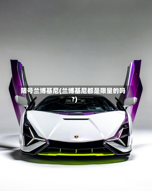 限号兰博基尼(兰博基尼都是限量的吗?)-第3张图片