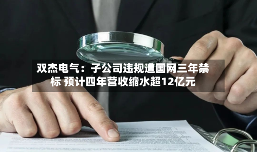 双杰电气：子公司违规遭国网三年禁标 预计四年营收缩水超12亿元-第2张图片