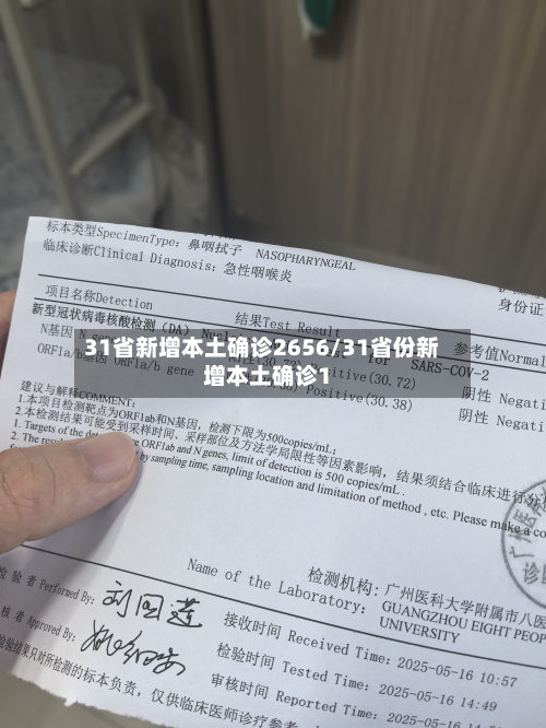 31省新增本土确诊2656/31省份新增本土确诊1-第3张图片