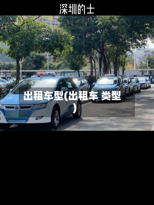 出租车型(出租车 类型)