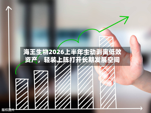 海王生物2026上半年主动剥离低效资产，轻装上阵打开长期发展空间-第2张图片