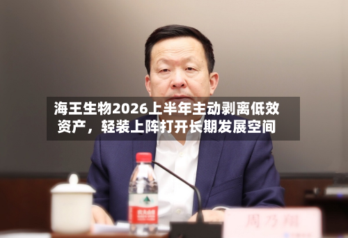海王生物2026上半年主动剥离低效资产，轻装上阵打开长期发展空间-第3张图片