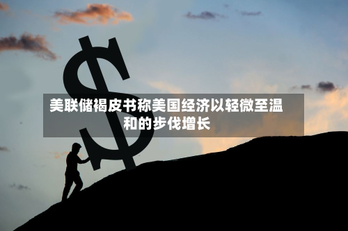 美联储褐皮书称美国经济以轻微至温和的步伐增长-第3张图片
