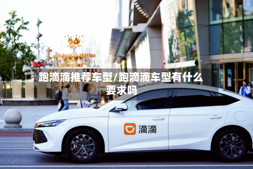 跑滴滴推荐车型/跑滴滴车型有什么要求吗-第3张图片