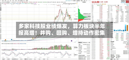 多家科技股业绩爆发	，算力板块半年报高增！并购、回购	、增持动作密集-第2张图片