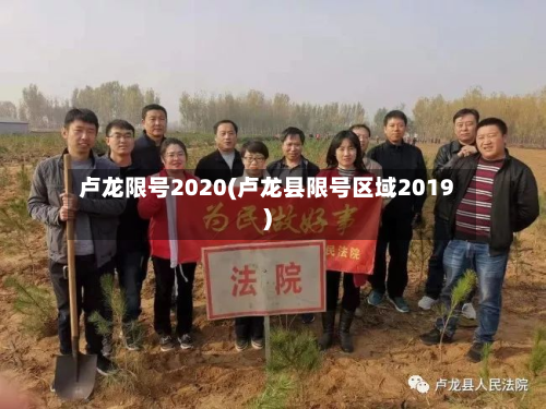 卢龙限号2020(卢龙县限号区域2019)