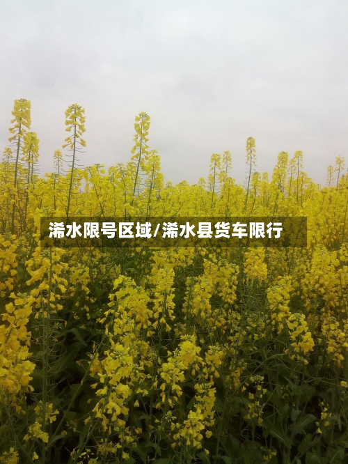 浠水限号区域/浠水县货车限行-第3张图片