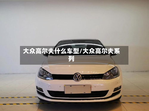 大众高尔夫什么车型/大众高尔夫系列-第2张图片