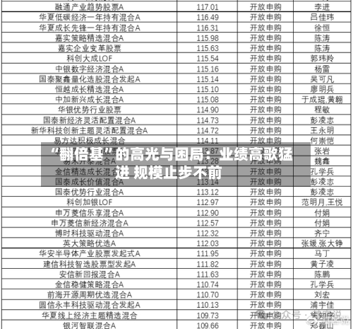“翻倍基	”的高光与困局：业绩高歌猛进 规模止步不前-第2张图片