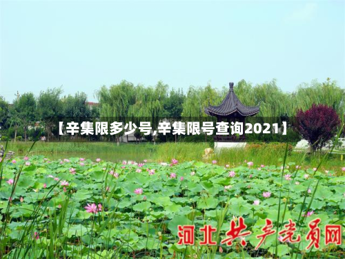 【辛集限多少号,辛集限号查询2021】-第2张图片