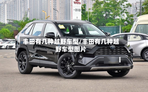 丰田有几种越野车型/丰田有几种越野车型图片-第3张图片