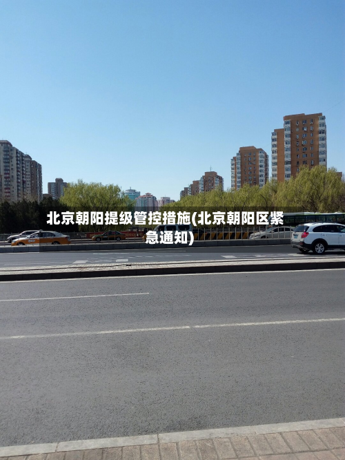 北京朝阳提级管控措施(北京朝阳区紧急通知)-第2张图片