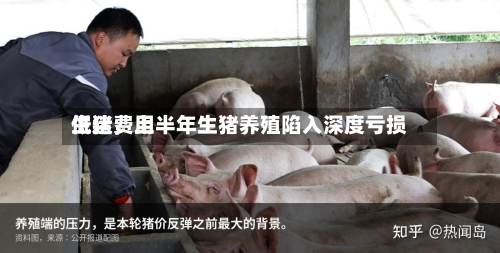 生猪费用低迷	，上半年生猪养殖陷入深度亏损-第1张图片