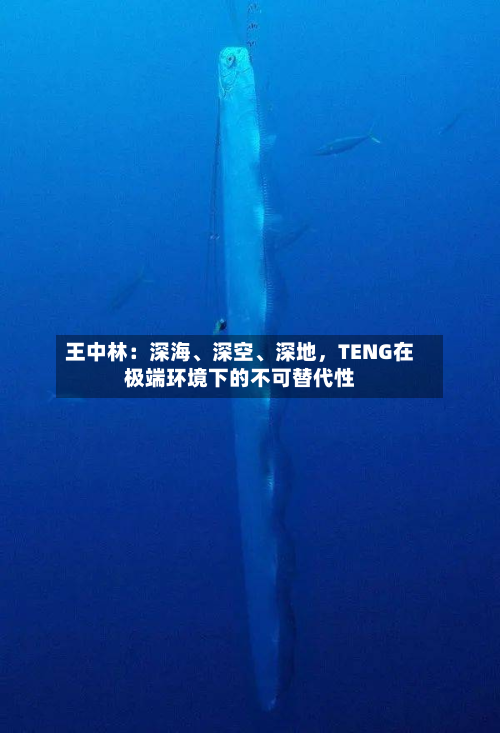 王中林：深海、深空、深地	，TENG在极端环境下的不可替代性-第2张图片
