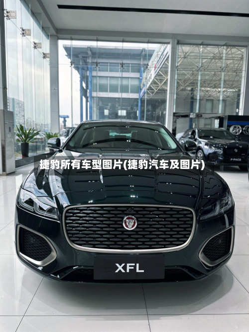 捷豹所有车型图片(捷豹汽车及图片)-第3张图片