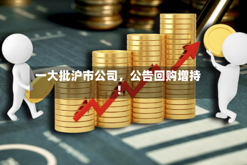一大批沪市公司，公告回购增持！-第3张图片