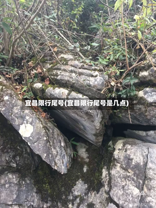 宜昌限行尾号(宜昌限行尾号是几点)-第3张图片