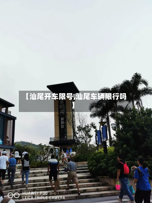 【汕尾开车限号,汕尾车辆限行吗】-第2张图片