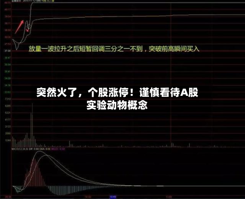 突然火了	，个股涨停！谨慎看待A股实验动物概念-第2张图片