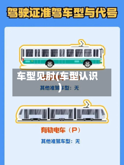 车型见肘(车型认识)
