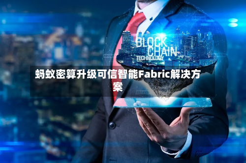 蚂蚁密算升级可信智能Fabric解决方案